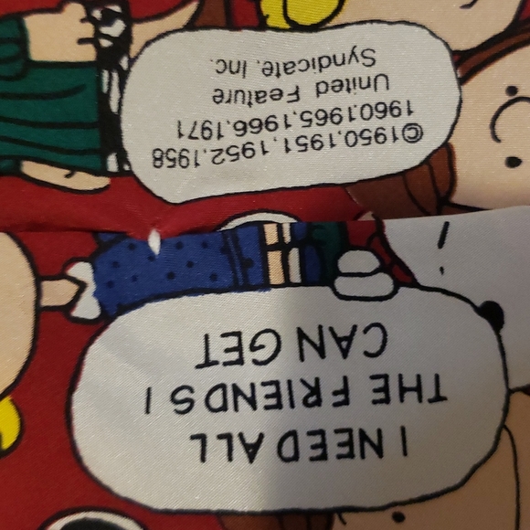 Peanuts | Men's 100% Silk Tie "I Need All The Friends I Can Get" - Picture 5 of 6